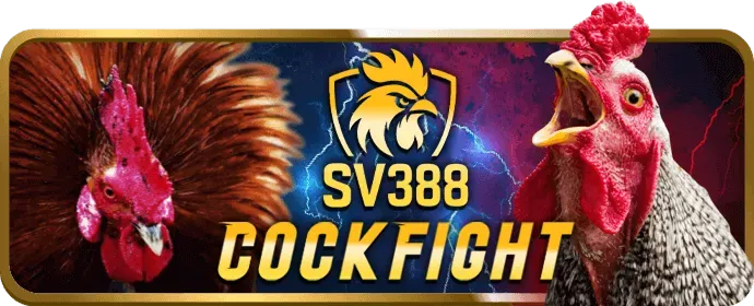 Phân tích chuyên sâu về win456 nhà cái